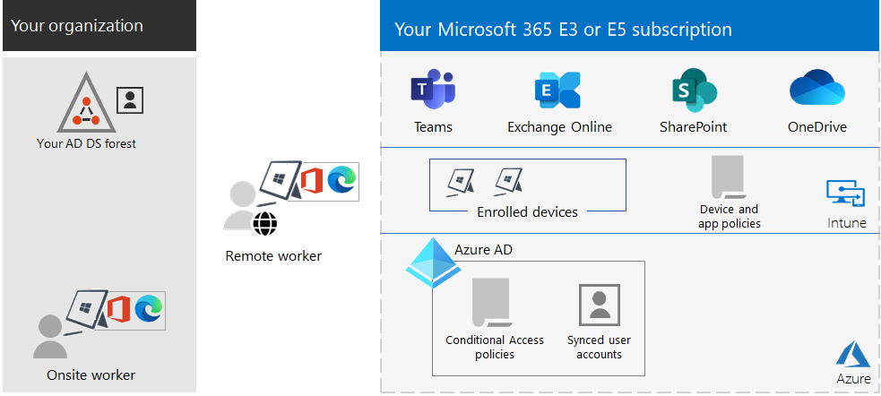 Organisation d’entreprise avec Microsoft 365, des appareils Surface et le navigateur Edge.