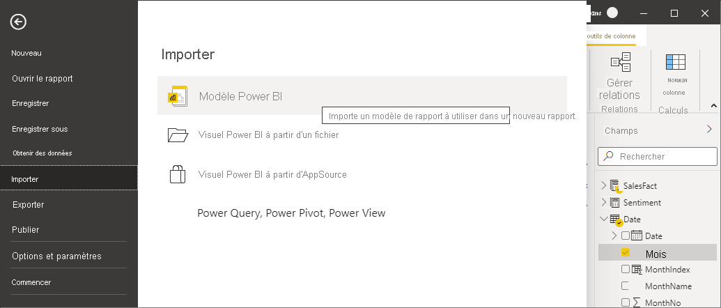 Capture d’écran de Power BI Desktop montrant les options d’importation.