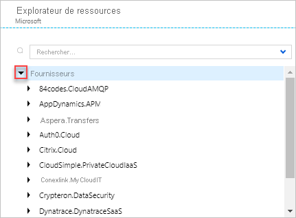 Screenshot of expanding the Providers section in the Azure Resource Explorer.