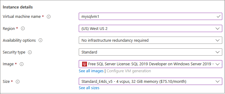 Capture d’écran, sur le Portail Azure, des détails de l’instance pour une nouvelle machine virtuelle SQL.
