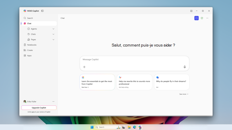 Capture d’écran montrant Microsoft 365 Copilot Chat.