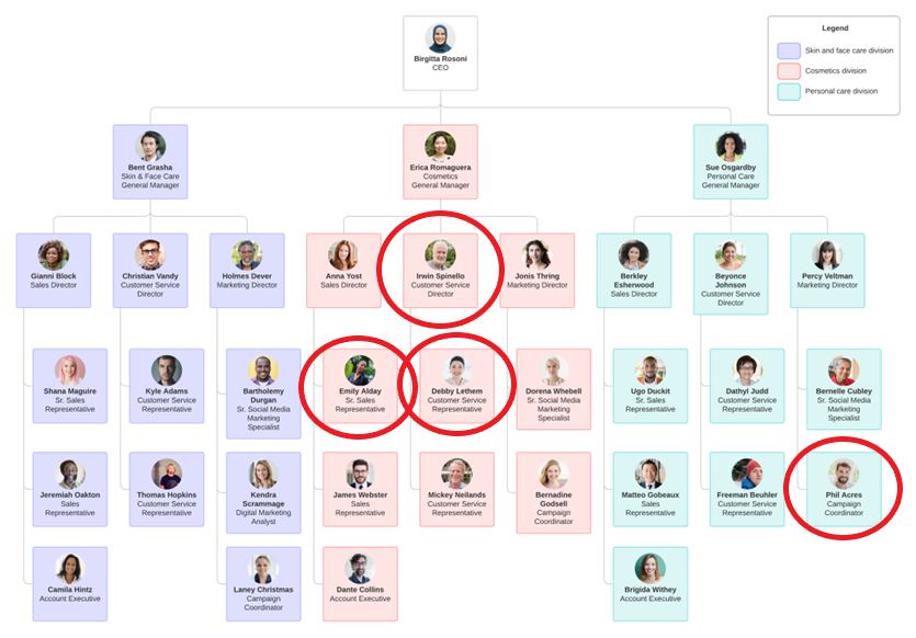 Capture d’écran montrant un organigramme hiérarchique fictif d’une société de cosmétiques.