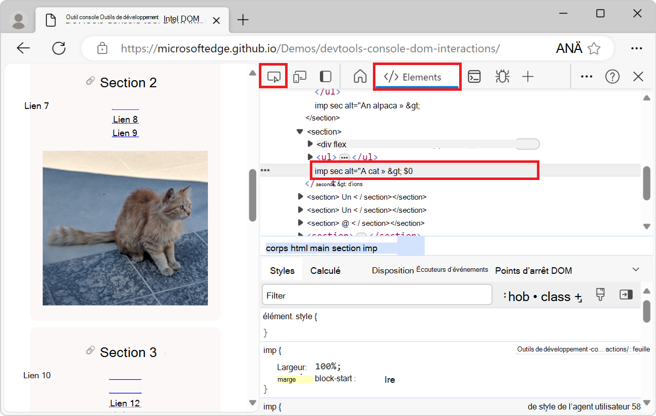 L’outil Éléments, avec l’élément image sélectionné