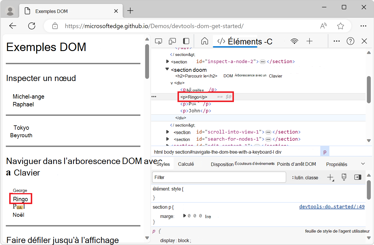 Inspection du nœud « Ringo »