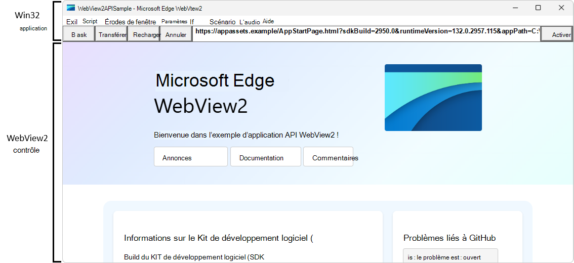 Application hybride