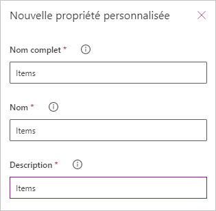 Zones Nom d’affichage, Nom de propriété, Description Zones Nom complet, Nom de propriété, Description.