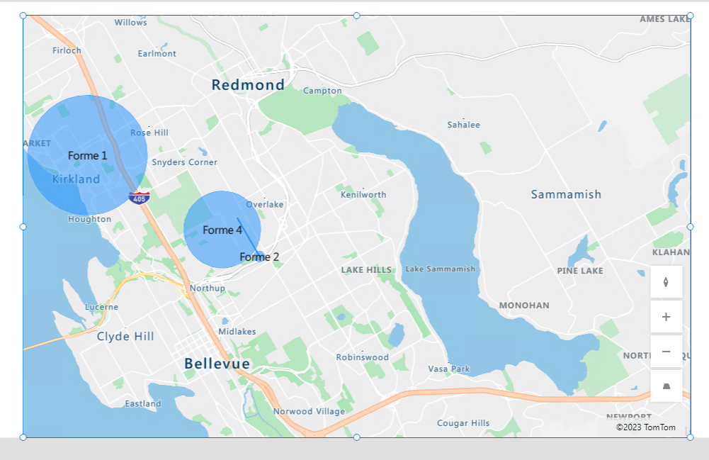 Capture d’écran d’un contrôle Carte avec des exemples de formes dessinées et étiquetées.