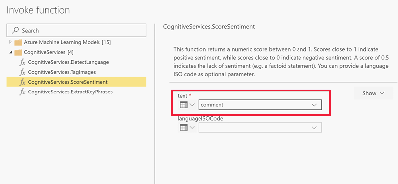 Screenshot shows the Invoke function dialog box with the text drop-down menu.