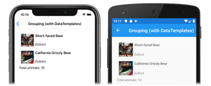 Capture d’écran d’un pied de page de groupe personnalisé dans collectionView, sur iOS et Android