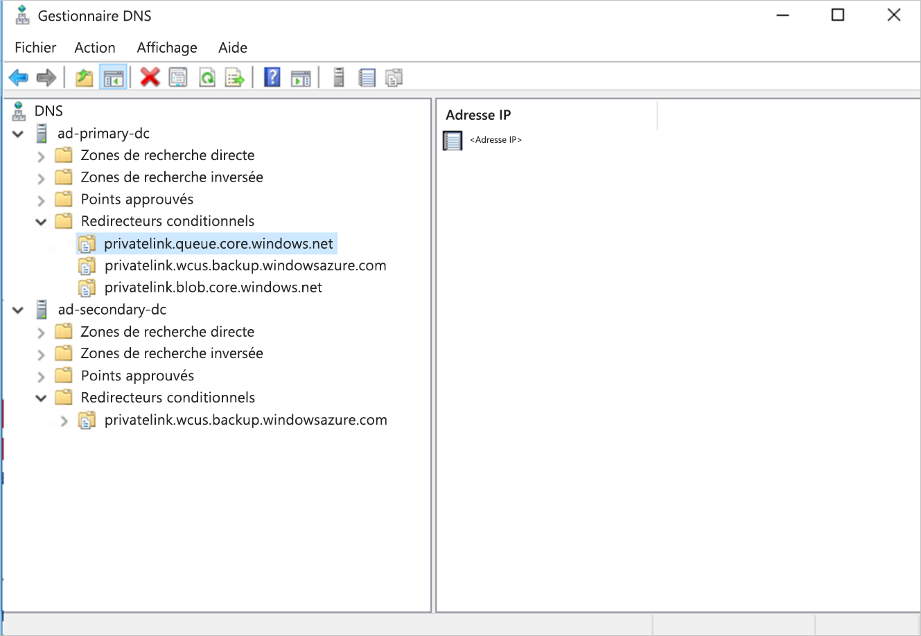 Redirecteurs conditionnels dans Gestionnaire&nbsp;DNS