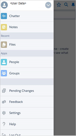 application mobile Salesforce