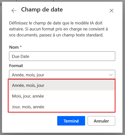 Capture d’écran des formats du «&nbsp;Champ de date&nbsp;».