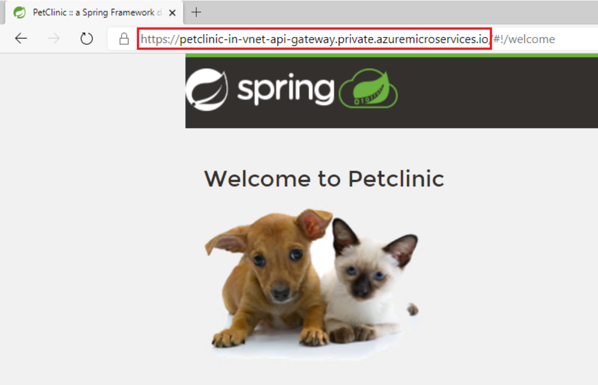 Capture d’écran de l’exemple d’application dans une fenêtre de navigateur avec le nom de domaine complet privé mis en surbrillance dans l’URL.