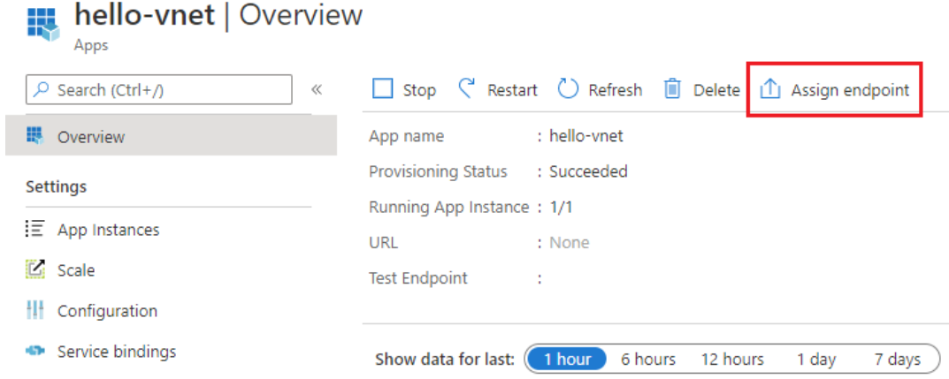 Capture d’écran du portail Azure montrant la page de présentation avec l’option Attribuer un point de terminaison en surbrillance.