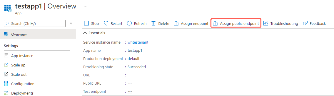 Capture d’écran du portail Azure montrant comment attribuer un FQDN public à votre application.
