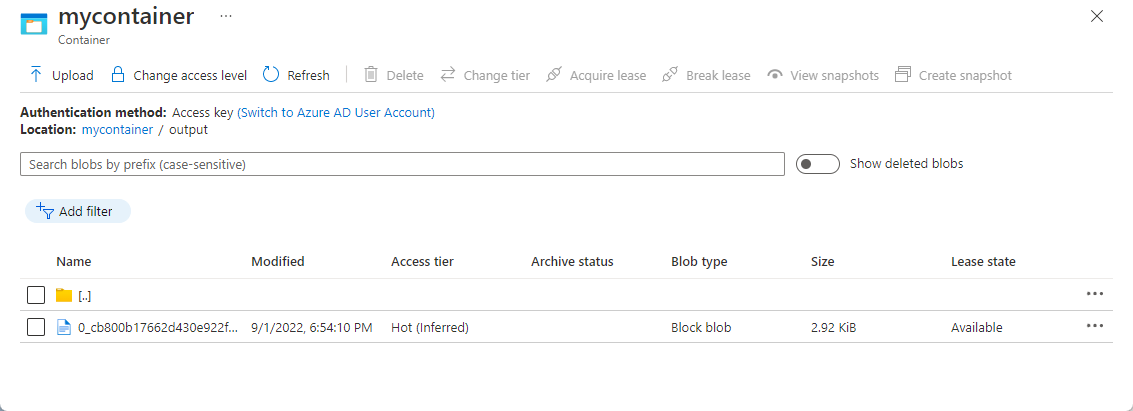 Capture d’écran montrant le fichier de sortie dans le conteneur d’objets blob.
