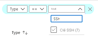Capture d’écran montrant comment filtrer la liste pour voir toutes vos clés SSH.