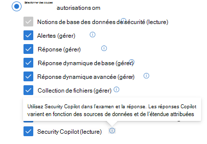 Capture d’écran du rôle de Defender XDR personnalisé avec Security Copilot droit des opérations de sécurité activé.