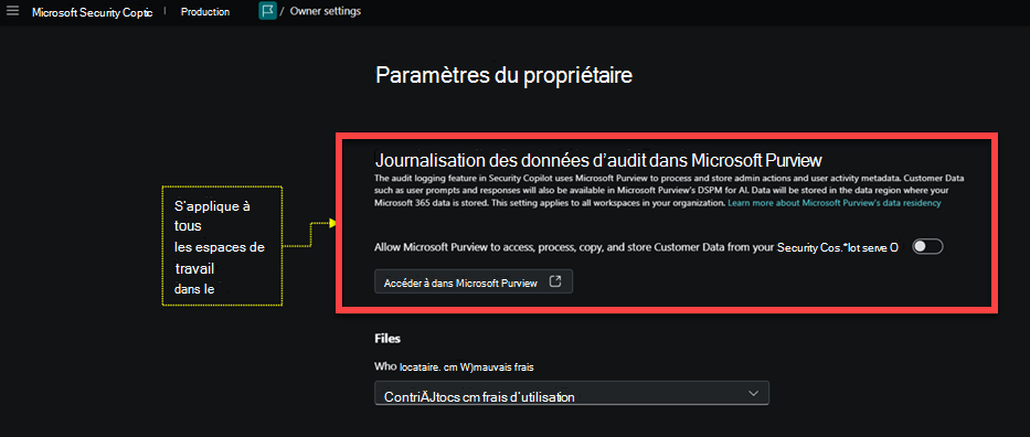 Image de la page des paramètres du propriétaire avec mise en évidence des données d’audit de journalisation.