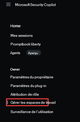 Image de gérer les espaces de travail dans la page des paramètres du propriétaire.
