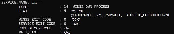 Capture d’écran de status case activée de service.