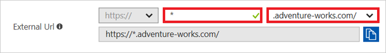 Capture d’écran montrant un caractère générique dans le champ URL externe.