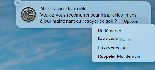 Exemple de notification indiquant qu’une mise à jour est disponible sur un appareil MacOS Apple.