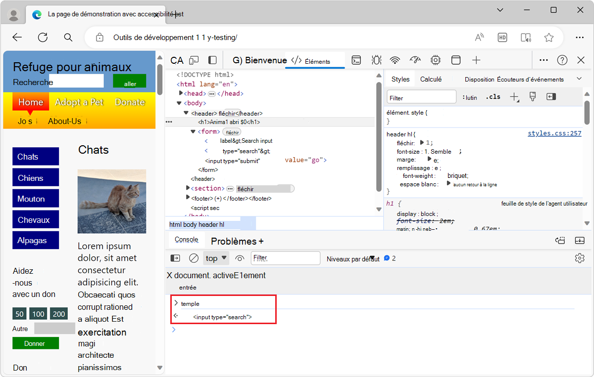 L’élément focus en tant que nouvelle variable dans l’outil console