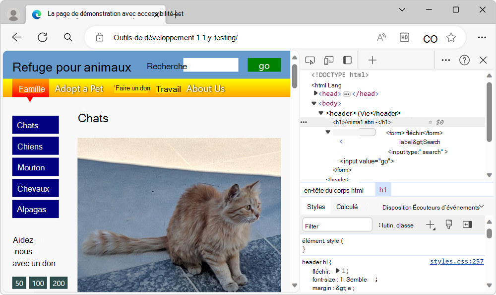 La page de démonstration avec DevTools à côté de celle-ci