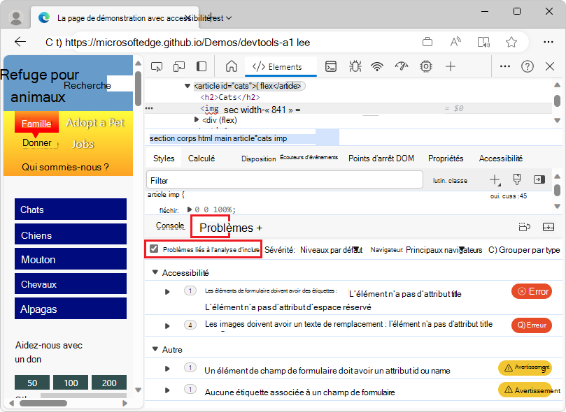 Panneau Problèmes avec la case à cocher « Inclure les problèmes tiers »