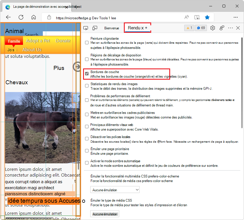 L’outil Rendu, avec la case à cocher « Bordures de couche » sélectionnée