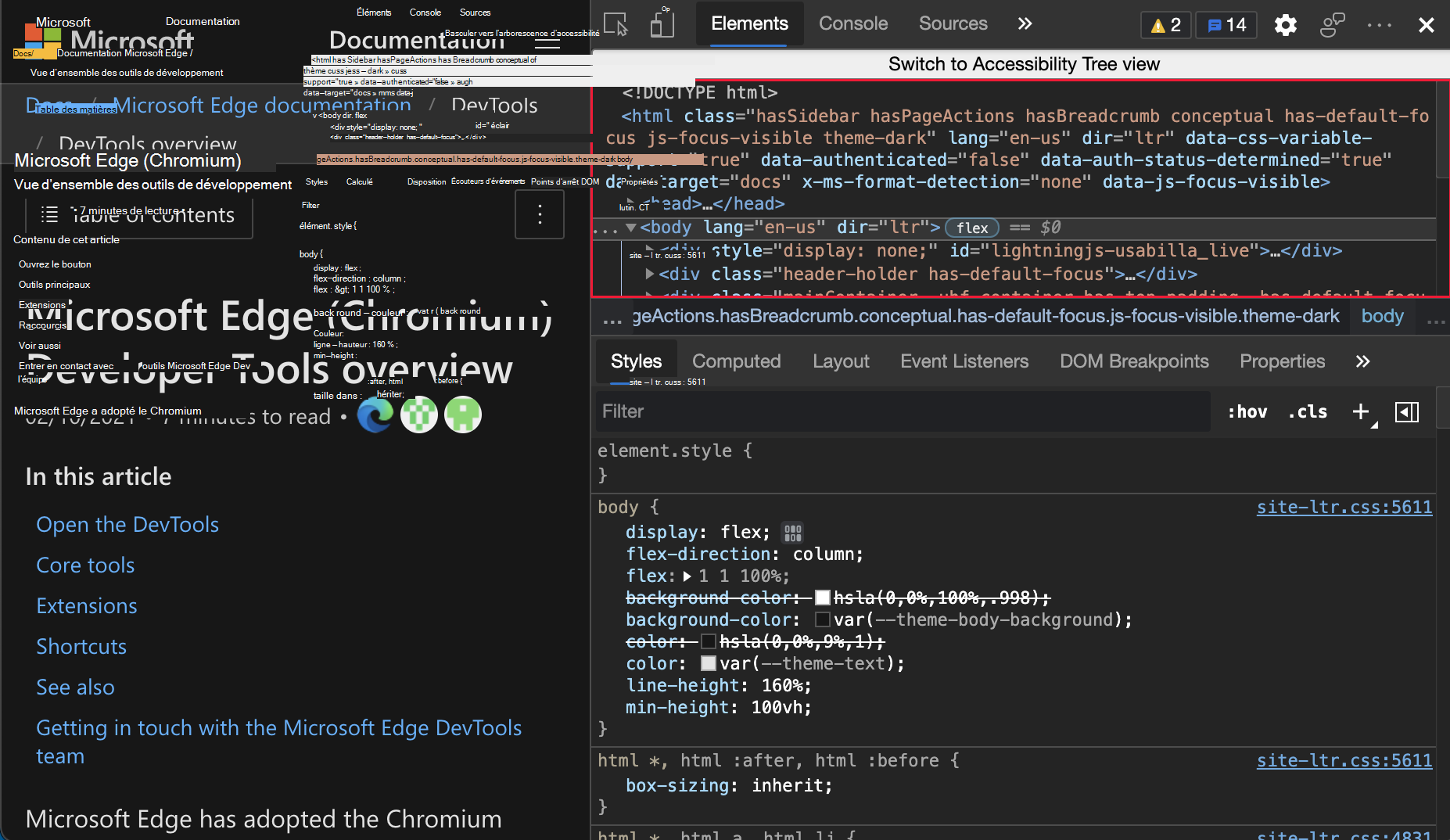 Affichage de l’arborescence DOM