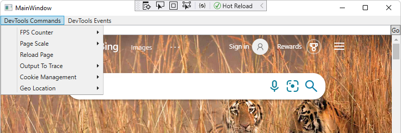 Menu Commandes DevTools de l’application WV2CDPExtensionWPFSample