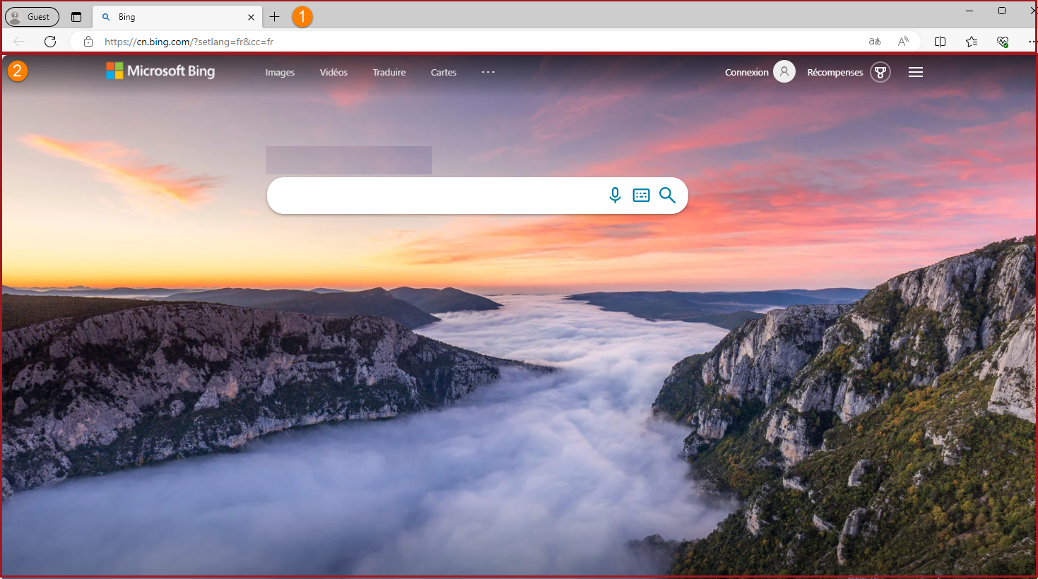 Capture d’écran d’une fenêtre Microsoft Edge mettant en surbrillance les zones «&nbsp;application&nbsp;» et «&nbsp;page web&nbsp;» du navigateur.