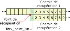 Méthode de réutilisation des NSE dans différents branchements de récupération