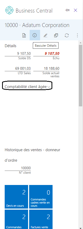 Capture d’écran des détails d’un client dans Business Central.