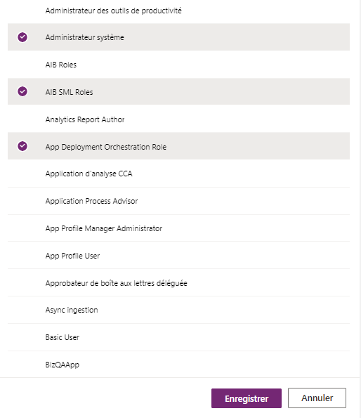 Capture d’écran de l’attribution du rôle Administrateur système.