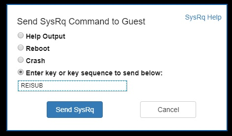 Capture d’écran de la boîte de dialogue Envoyer la commande SysRq à l’invité lorsque l’option entrée de clé est sélectionnée et REISUB est entrée dans le champ ci-dessous.