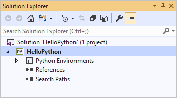 Capture d'écran montrant le projet Web Python vide nouvellement créé dans l'Explorateur de solutions.