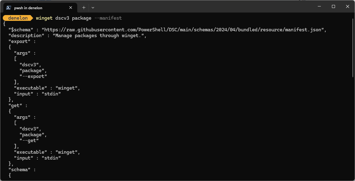 Capture d’écran répertoriant les options de commande winget dsv3.