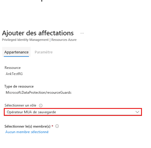 Capture d’écran montrant comment ajouter des attributions : appartenance.