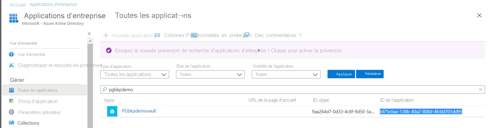 Screenshot showing the process to copy the Application ID of the vault.