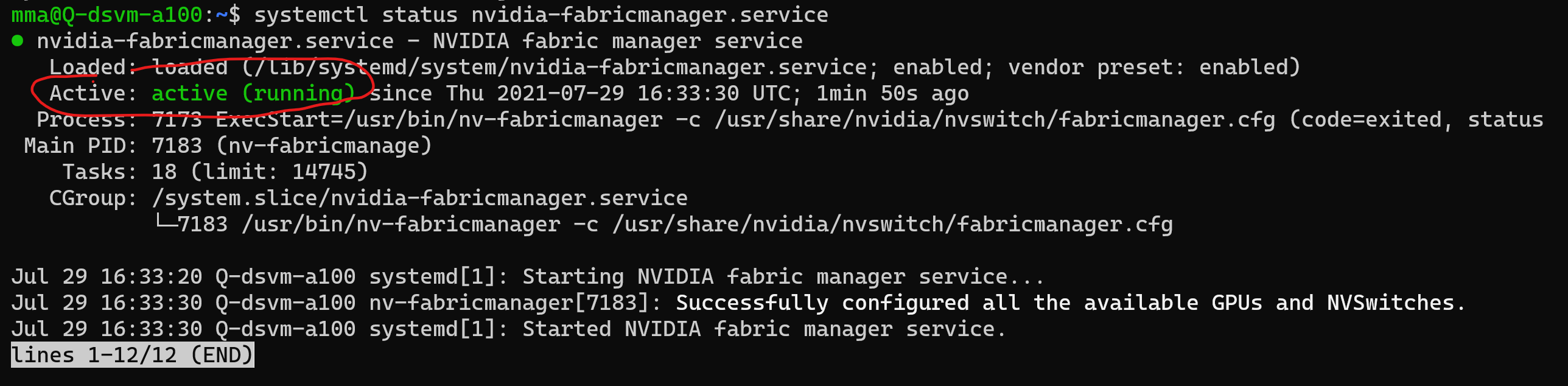 Capture d’écran montrant le service Fabric Manager en cours d’exécution.