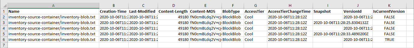 Capture d’écran d’un fichier CSV d’inventaire ouvert dans Microsoft Excel