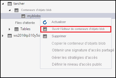 Open blob container editor context menu