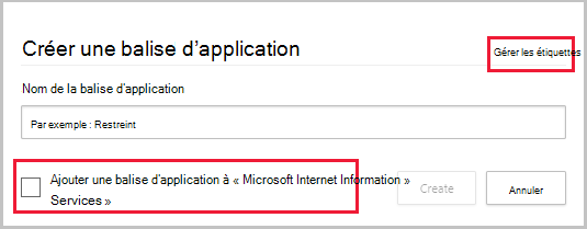 créer une balise d’application personnalisée à partir de l’application.