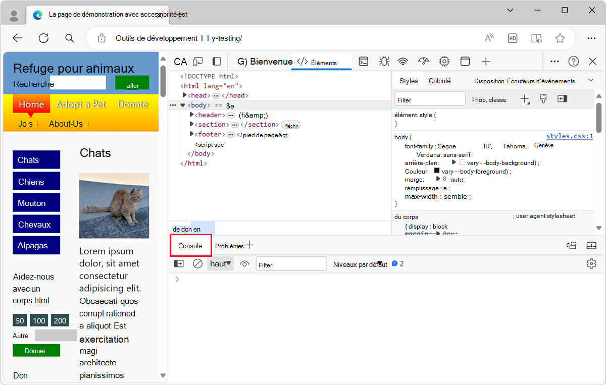 L’outil Console, dans le panneau Affichage rapide
