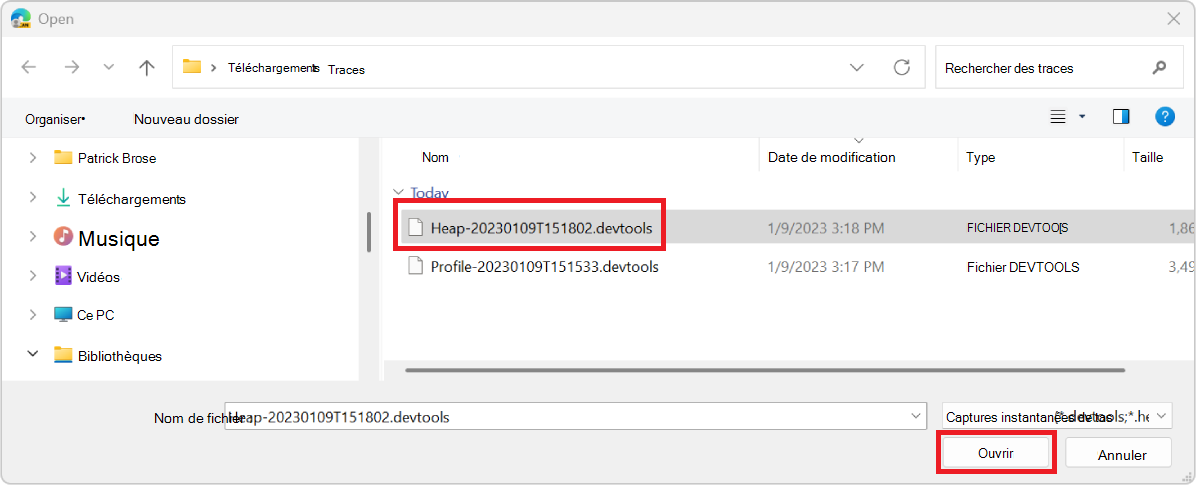 Boîte de dialogue Windows ouverte, montrant un fichier de trace de mémoire