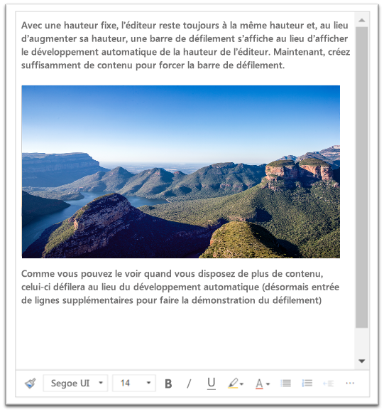 Capture d’écran qui illustre qu’avec une hauteur fixe, lorsqu’une quantité suffisante de contenu est ajoutée à la zone de texte enrichi, une barre de défilement apparaît.