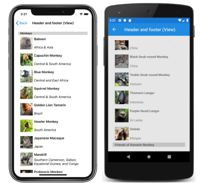 Capture d’écran d’un en-tête et d’un pied de page CollectionView à l’aide de vues, sur iOS et Android